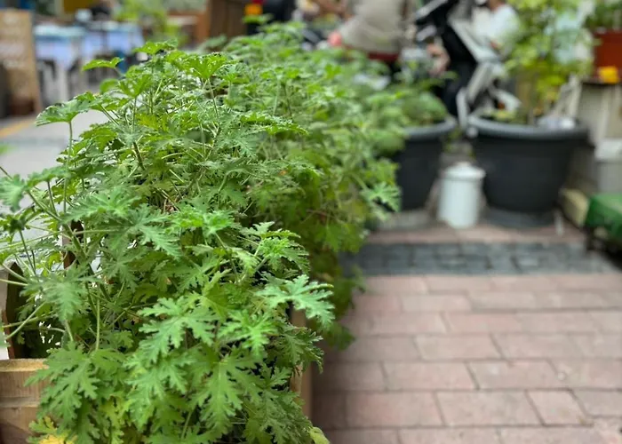 Apartman Efe Çanakkale