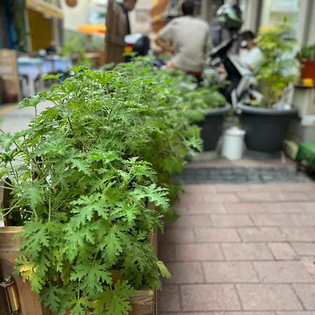 Daire Efe Çanakkale